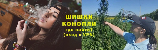 кокс Белокуриха