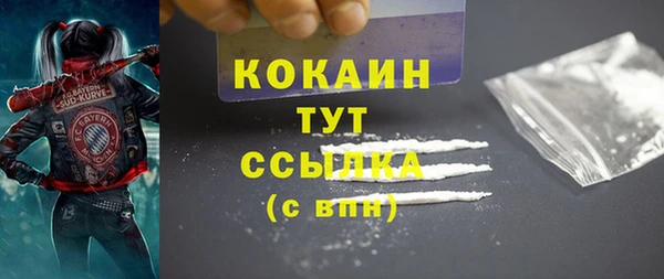 кокс Белокуриха