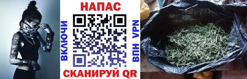 где можно купить Котовск Бошки марихуана Ganja